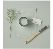 Load image into Gallery viewer, small painted bookcase with pine shelves