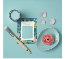 Load image into Gallery viewer, small painted bookcase with pine shelves