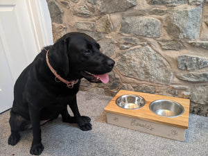 Personalized Double dog bowl stand